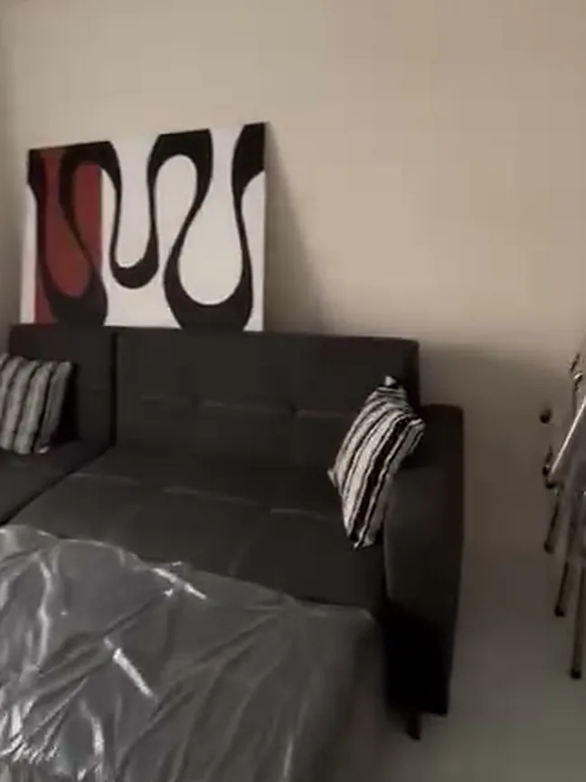 Döşenmiş daire salonundan detay